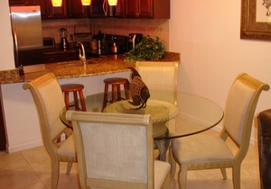 Luxuroius Oceanfront Condo, Garden City Beach, Wifi, AC, Cable TV, Pool, Jacuzzi