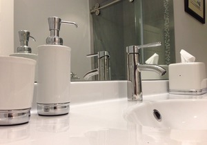 Luxury 1-Bed Suite at Nature's Door, by Port Moody beach, trail and centre