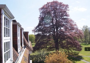 Luxury 3 bed loft apartment in parkland 5min M25, 15min Heathrow, 30min London