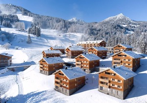 Luxury 4-person apartment in the holiday park Landal Brandnertal