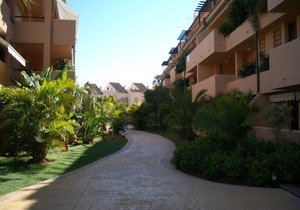 LUXURY APARTMENT IN PLAYA ALICATE.