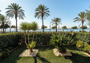 Luxury Apartment on the Beach