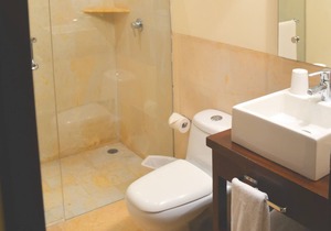 LUXURY CONDO IN LOS VENEROS