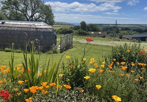 Luxury glamping with sea and sunset views - Cornwall