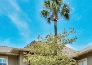 LUXURY HOME! 6 PASSENGER GOLF CART! Upgrades and increased sanitation.