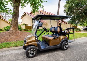 Luxury Lakefront Living with Golf Cart
