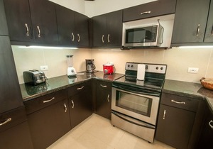 Luxury on the beach - Diamanté del Sol Updated 3 Bedroom Luxe Condo