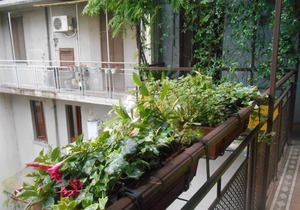 Luxury Rental Gioia's House Milano