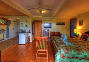 Luxury self-contained villa with king bed, double spa, fireplace, and kitchen.