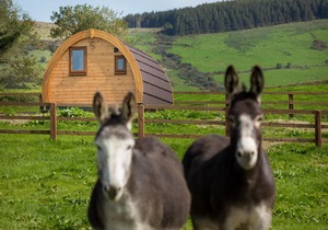 Luxury two-bed Glamping Pod in County Clare