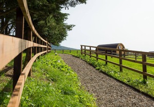 Luxury two-bed Glamping Pod in County Clare 2