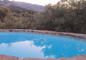 LUXURY VILLA KASTANIA WITH PRIVATE POOL SURROUNDED BY TREES, FLOWERS AND HERBS.