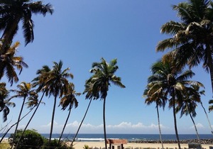 M R Beach & Cottages