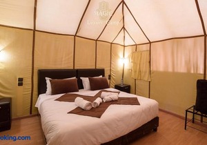 Magic Luxury Camp