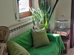 Magione Apartment&Rooms