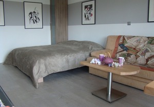magnificent 4 * studio with terrace and private garage