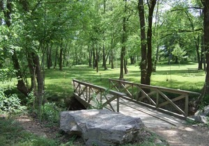 Magnolia Cabin - On the Ouachita river