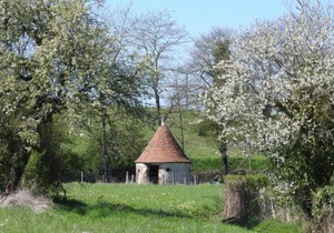 Maison de caractère avec jardin, climatisation et vélos près d'Amboise - FR-1-381-357