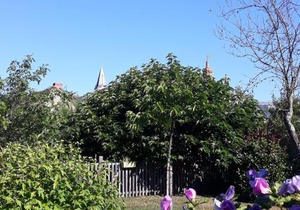 Maison de charme avec piscine, proche de la Creuse et attractions touristiques - FR-1-591-62