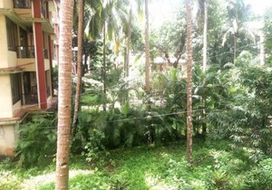 Mango Apartment @ Palolem Garden Estate
