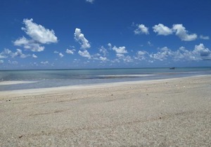 Maragogi Praia de Antunes Chalé 1