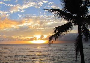 Maui is calling....it's a great time to take a trip!
