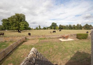 Meadow View
