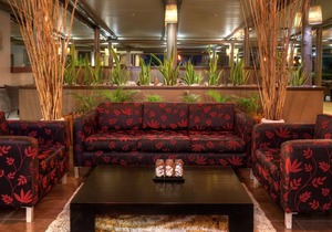 Mercure Nadi
