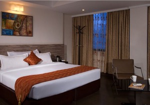 Metro Park Inn