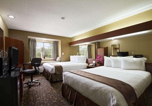 Microtel Inn & Suites by Wyndham Lithonia Stone Mountain