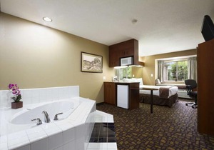 Microtel Inn & Suites by Wyndham Lithonia Stone Mountain