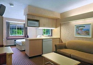 Microtel Inn & Suites by Wyndham Syracuse Baldwinsville