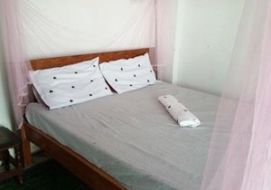 Mikocheni Home stay