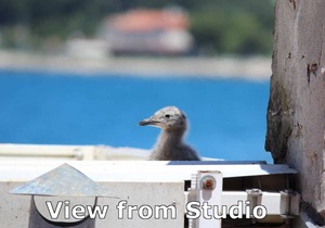 MILKANA Studio with Sea view