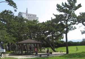 Minato Oasis Numazu