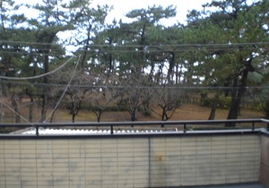 Minato Oasis Numazu