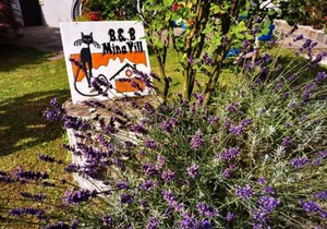 MinaVill La Casa Sulle Dolomiti