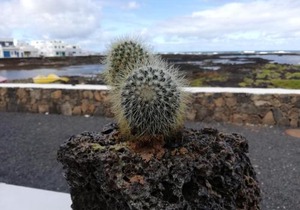 mirador del roque 2