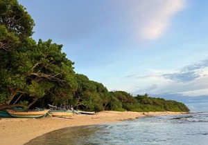 MIRISSA Reef Serenity