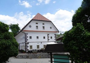 Možinetova Hiša - Apartment 3