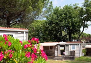 Mobile Home 3 Rooms 4/6 Persons Air-conditioned + TV