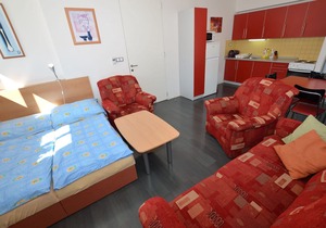 Modern Apartment in Rokytnice nad Jizerou