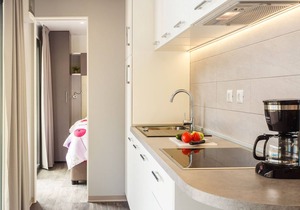 Modern chalet only 11 km from Porec