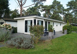 Modern chalet with WiFi in the green Achterhoek