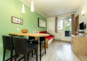Modern refurbished one bedroom apartment in Chamonix Sud.