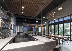 Modern Silicon Valley Condos with Rooftop Lounge and Pool