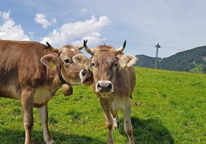 Mondi Resort in Oberstaufen
