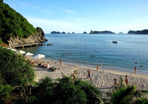 Monkey Island Resort