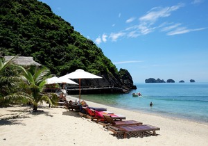 Monkey Island Resort
