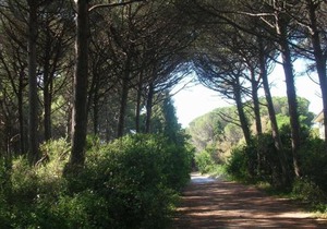 Monolocale Mazzanta